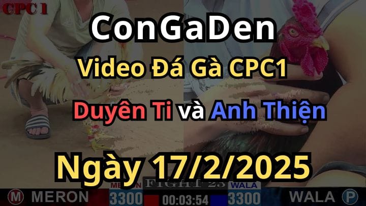 Bổn Gà Số 1 Của Duyên Ti Hết Cứu CPC1 Ngày 17/2/2025