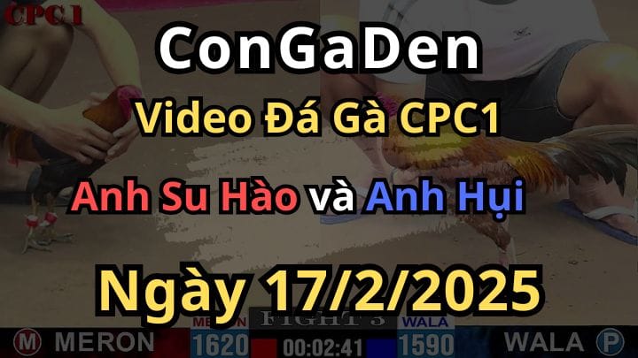 Khét Đá Trúng Yếu Điểm Điều Ra Đi Sau 2 Nhát CPC1 17/2/2025