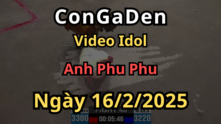 Các Trận Của Idol Phu Phu Ở Bồ C2 16/2/2025