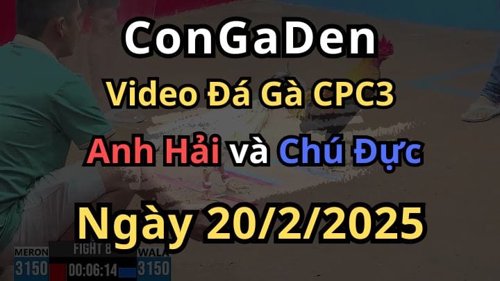 Chú Đực Chuyên Gia Bắt Bướm CPC3 Ngày 20/02/2025