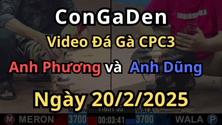 Sư Kê Phương Tóc Dài Thảm Bại CPC3 Ngày 20/02/2025