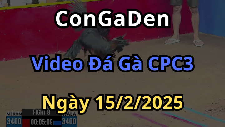 Các Trận CPC3 Hay Nhất Ngày 15/2/2025