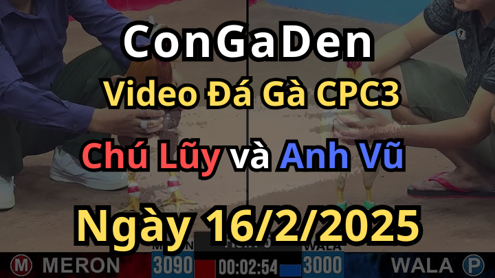 Gà Chú Lũy Tiêu Nhanh Diệt Gọn CPC3 Ngày 16/2/2025