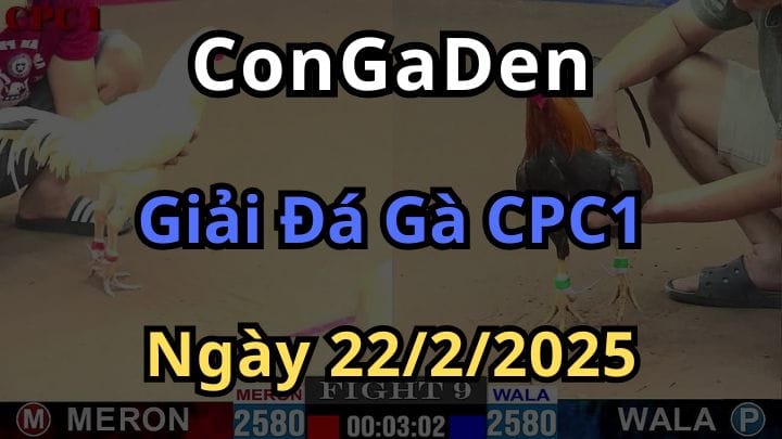 Đại Hội Phong Thần CPC1 Ngày 22/2/2025