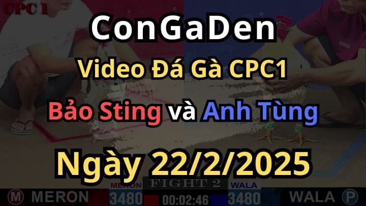 Bảo Sting Mang Bướm Hiệu Qua Giao Lưu anh em CPC1 22/2/2025