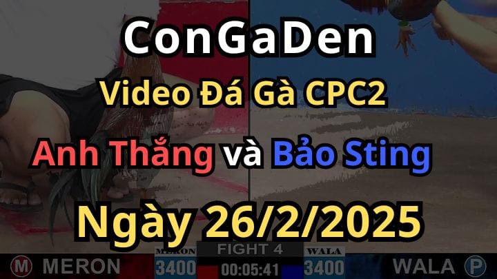 Bảo Sting Gặp Anh Thắng Thì Tắt Điện CPC2 ngày 26/2/2025