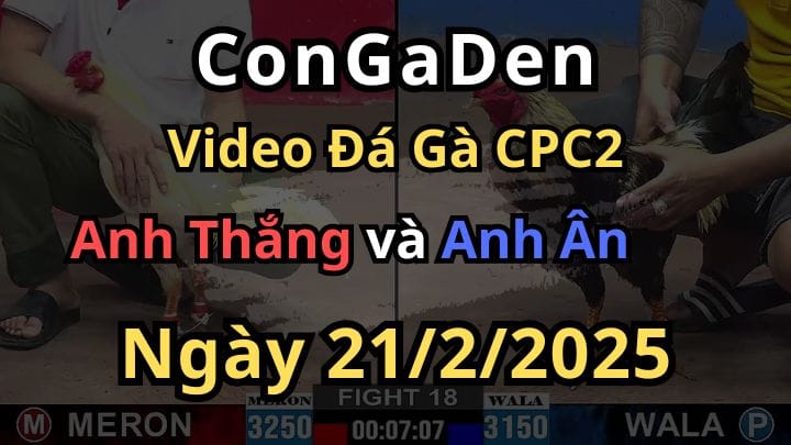 Anh Thắng Mang Bướm  Hiệu Của Bảo Sting Ra Chơi CPC2 Ngày 21/2/2025