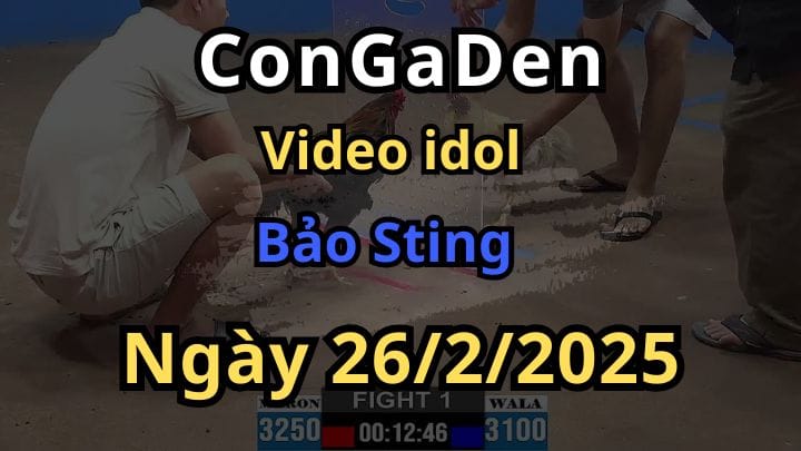 Video Bảo Sting Đại Náo CPC2 Ngày 26/2/2025