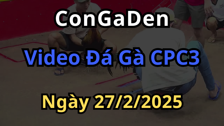 Xem đá gà cpc3 chiếu lại cùng congaden 27/2