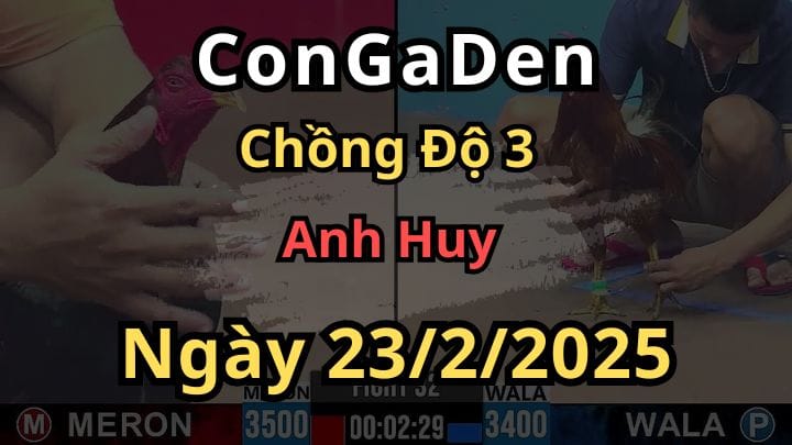 Chồng Độ 3 Đẳng Cấp Của anh Huy BD CPC3 23/2/2025