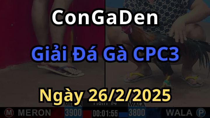 Đại Hội Luận Võ CPC3 Ngày 26/2/2025