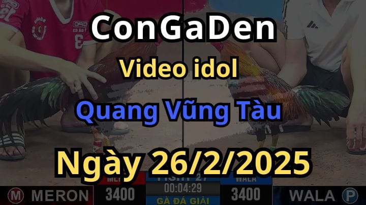 Hành Trình Rinh Cúp Của Quang VT CPC3 Ngày 26/2/2025