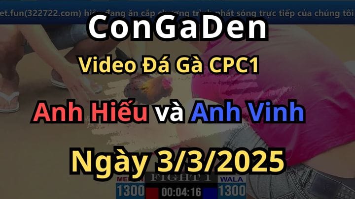 Gà Đỏ Vừa Nhảy Chân Sáo Vừa Ghim Cựa CPC1 3/3/2025