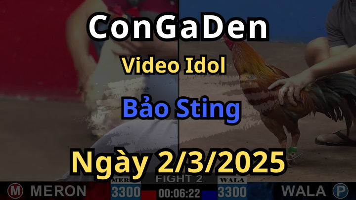 Các trận idol Bảo Sting giao lưu với anh em CPC2 Hôm Nay