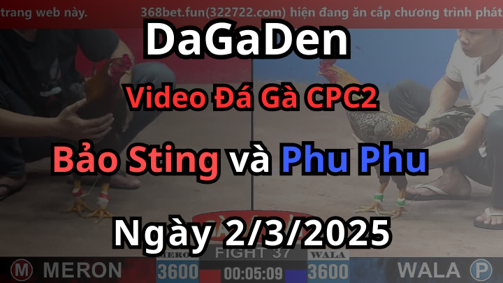 Bảo Sting vs Phu Phu huynh đệ tương tàn CPC2 2/3/2025