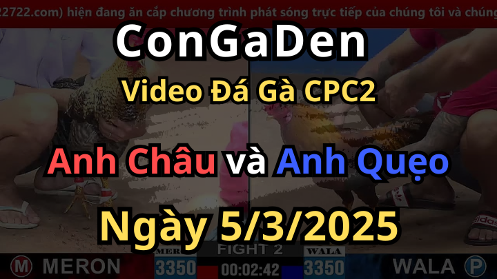 Gà Anh Quẹo Quẹo Ngang Luôn CPC2 5/3/2025