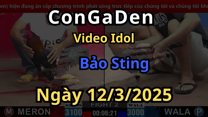 Các trận của Bảo Sting tại CPC2 Hôm nay 12/3/2025