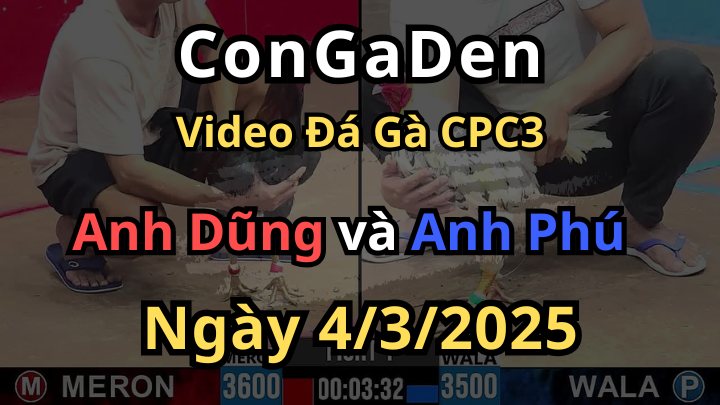 Anh Phú Mở Bát Bắt Đỏ Làm Gỏi Gà CPC3 4/3/2025