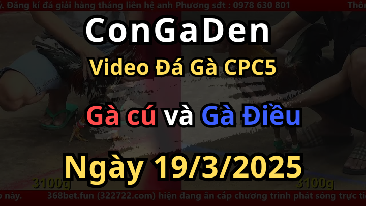 Khai bồ CPC5 đón giải lần 2 ngày 19/3/2025