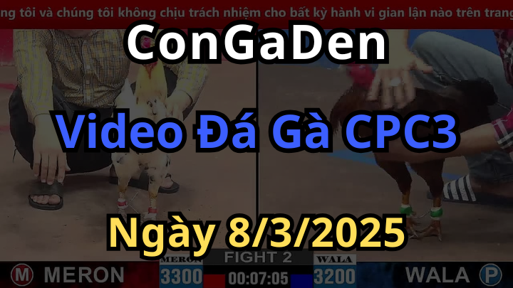 Đại hội 4 Con Gà Tự Do CPC3 Ngày 8/3/2025