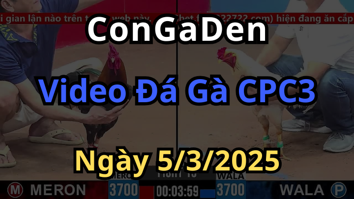 Tổng Hợp Đá Gà CPC3 Ngày 5/3/2025