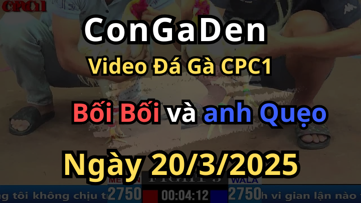 Anh Quẹo xin nhẹ cái giò Bối Bối Cân bằng tỷ số CPC1 ngày 20/3/2025