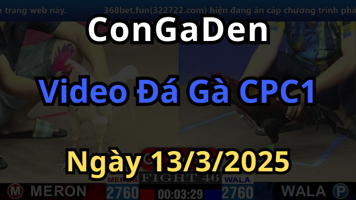 Đá gà trực tiếp cpc1 ngày 13/3/2025 phát lại siêu nét