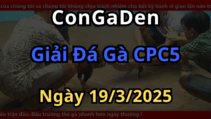 Bản Phong Thần Giải Đá Gà CPC5 Lần 2 Ngày 19/3/2025