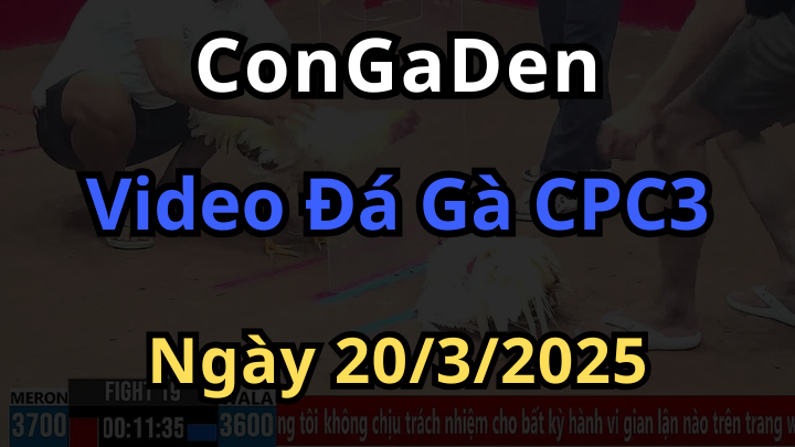 Tổng hợp đá gà cpc3 ngày 20/3/2025 mới nhất hôm nay