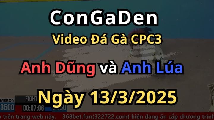 (xổ lớn)Lơ mơ mất ngay 200 củ đá gà cpc3 ngày 13/3/2025