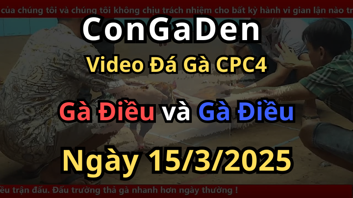 Trận gà đẳng cấp nhất bồ cpc4 hôm nay ngày 15/3/2025