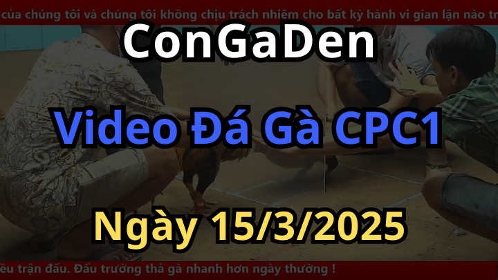 Xem lại đá gà cpc1 mới nhất hôm nay ngày 15/3/2025