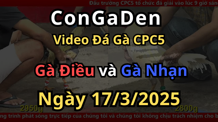 Điều Đá Như Máy Sấy Cú Nào Dính Cú đó CPC5 ngày 17/3/2025