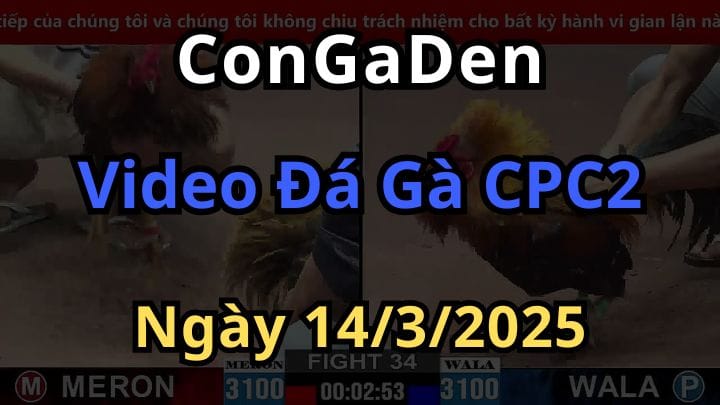 Phát lại đá gà cpc2 thomo ngày 14/3/2025