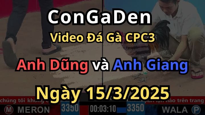 Sửa Gà Quá Đỉnh Lật Kèo Ngay Phút Cuối CPC3 15/3/2025