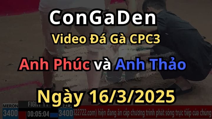 Anh Thảo phục thù chú Phúc CPC3 Ngày 16/3/2025