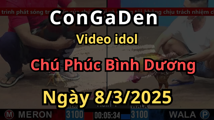 Vua Gà Nòi Bình Dương Trở Lại CPC3 ngày 8/3/2025