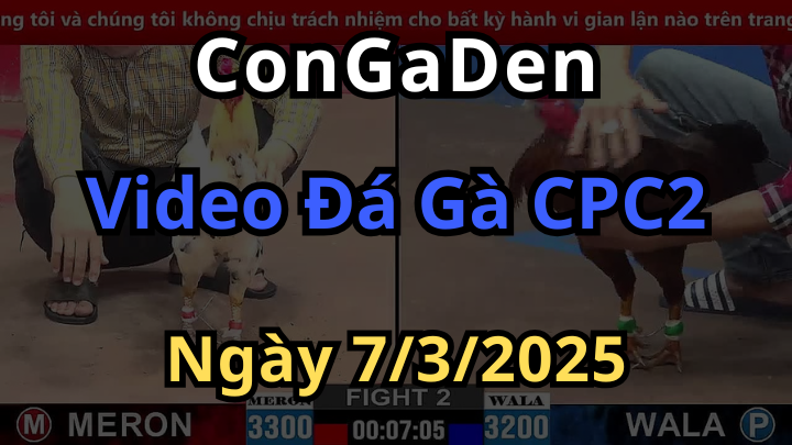 Phát Lại đá gà thomo cpc2 ngày 7/3/2025 Nét Căng